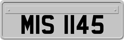 MIS1145