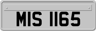MIS1165