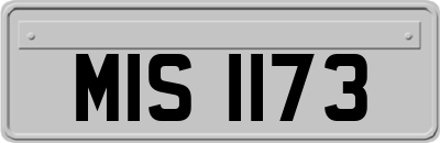MIS1173