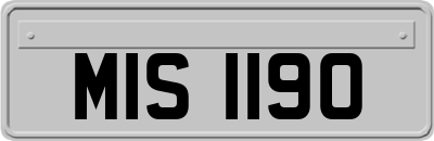 MIS1190