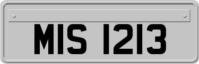 MIS1213