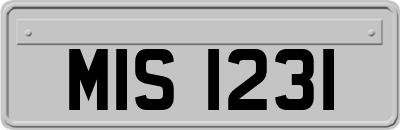 MIS1231