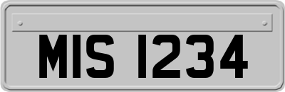MIS1234