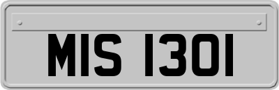 MIS1301