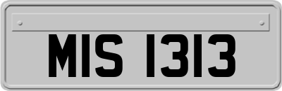 MIS1313