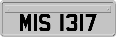 MIS1317