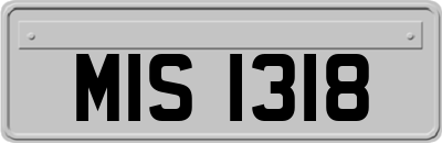 MIS1318