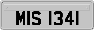MIS1341