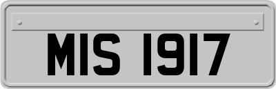 MIS1917
