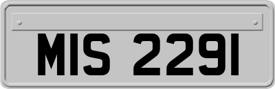 MIS2291