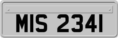 MIS2341