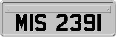 MIS2391