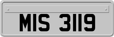 MIS3119