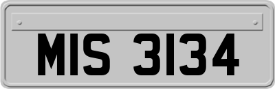 MIS3134