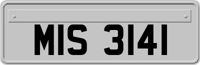 MIS3141