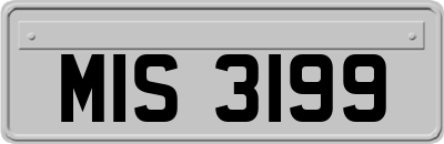 MIS3199