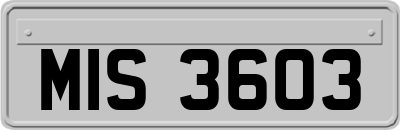 MIS3603