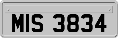 MIS3834