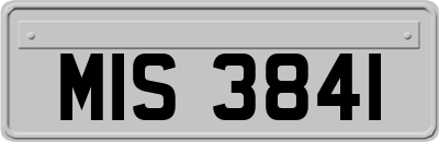 MIS3841