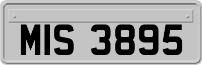 MIS3895