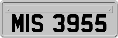 MIS3955