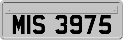 MIS3975