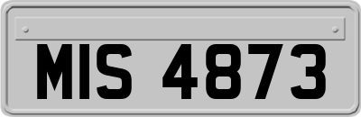 MIS4873