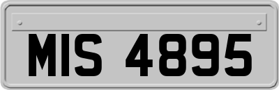 MIS4895