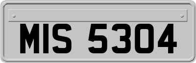 MIS5304