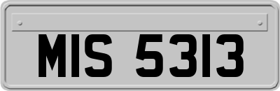 MIS5313