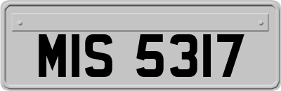 MIS5317