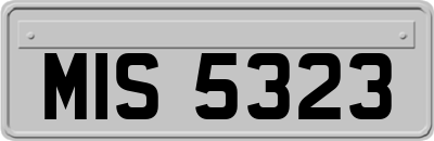 MIS5323