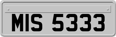 MIS5333