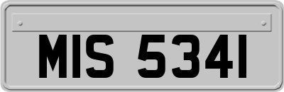 MIS5341