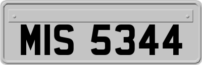 MIS5344