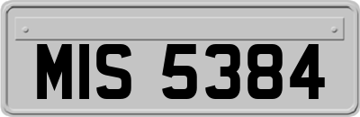MIS5384