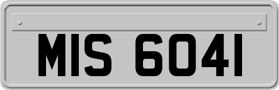 MIS6041