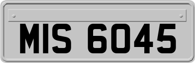 MIS6045