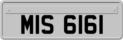 MIS6161