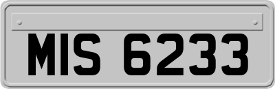 MIS6233