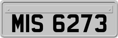 MIS6273