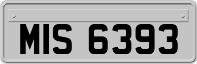 MIS6393