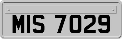 MIS7029
