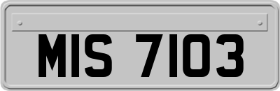 MIS7103