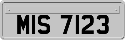 MIS7123