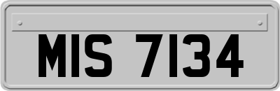 MIS7134