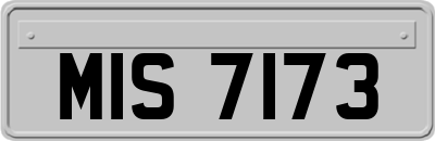 MIS7173