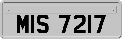 MIS7217