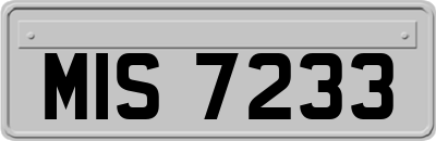MIS7233