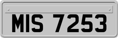 MIS7253